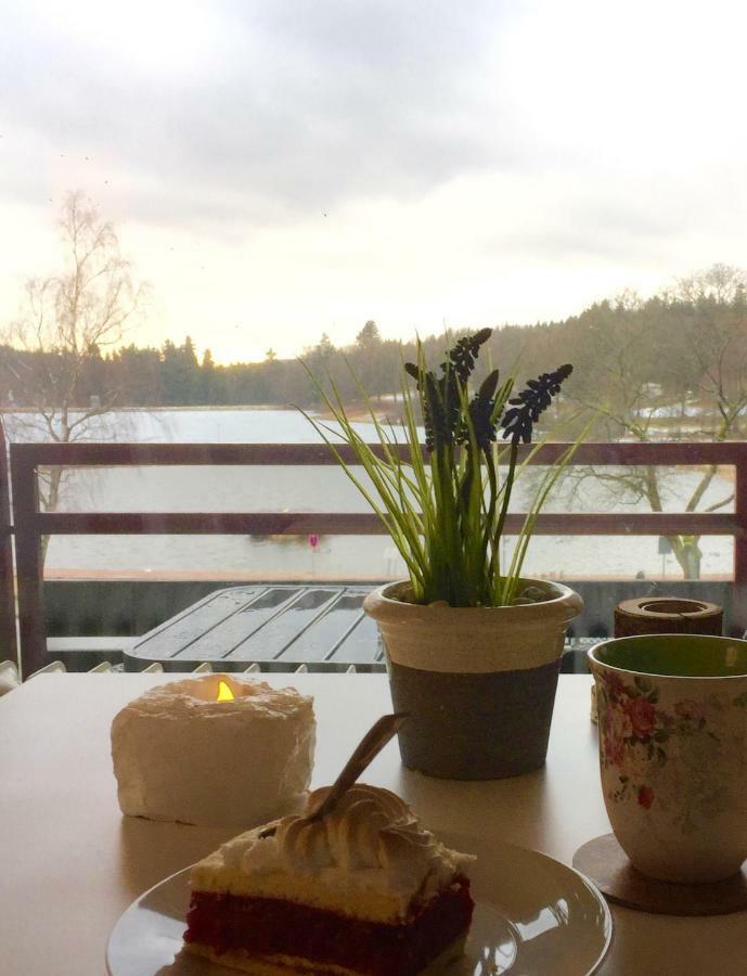 Seesicht Appartements Am Kranichsee 戈斯拉尔 外观 照片