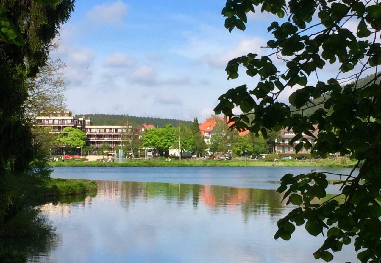 Seesicht Appartements Am Kranichsee 戈斯拉尔 外观 照片