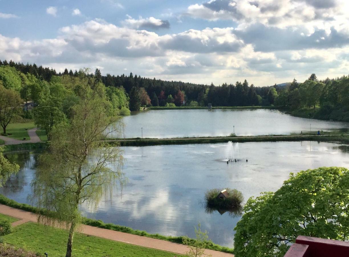 Seesicht Appartements Am Kranichsee 戈斯拉尔 外观 照片