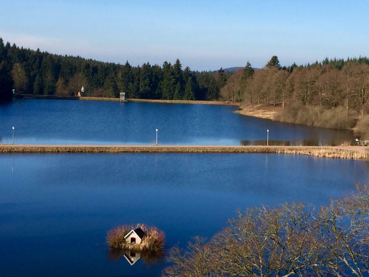 Seesicht Appartements Am Kranichsee 戈斯拉尔 外观 照片
