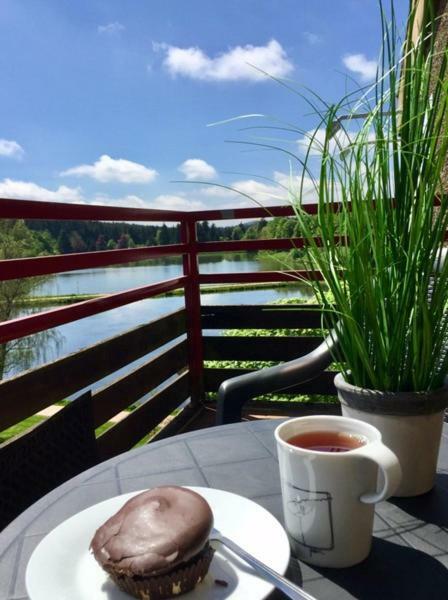 Seesicht Appartements Am Kranichsee 戈斯拉尔 外观 照片