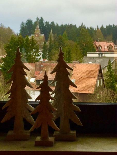 Seesicht Appartements Am Kranichsee 戈斯拉尔 外观 照片