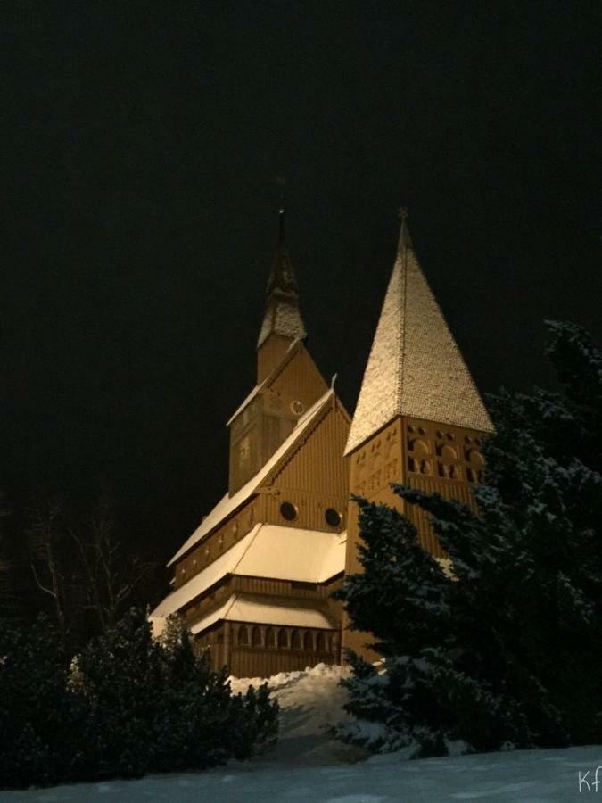 Seesicht Appartements Am Kranichsee 戈斯拉尔 外观 照片